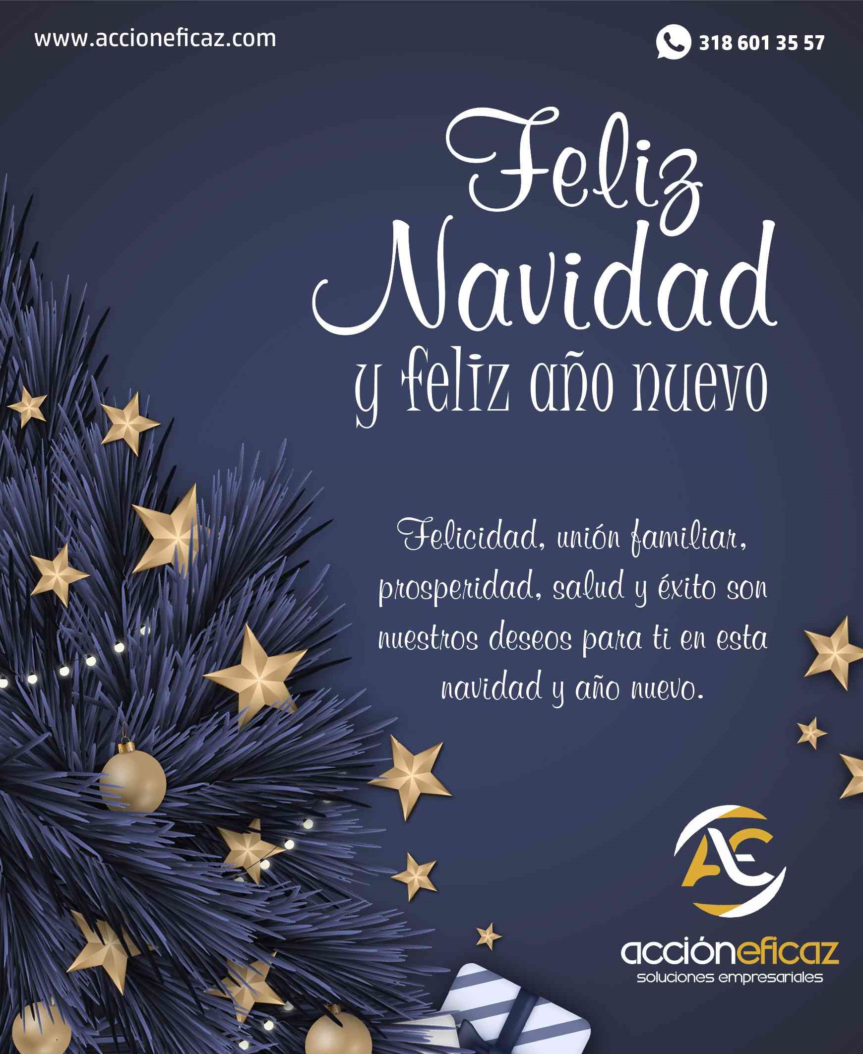 ¡Feliz Navidad y próspero Año Nuevo 2023!